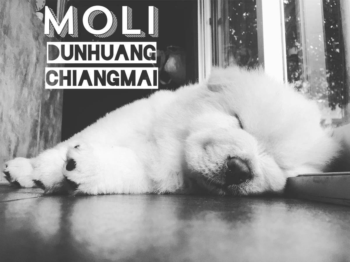 Chiangmai Moli Inn (Adults Only) 치앙마이 외부 사진