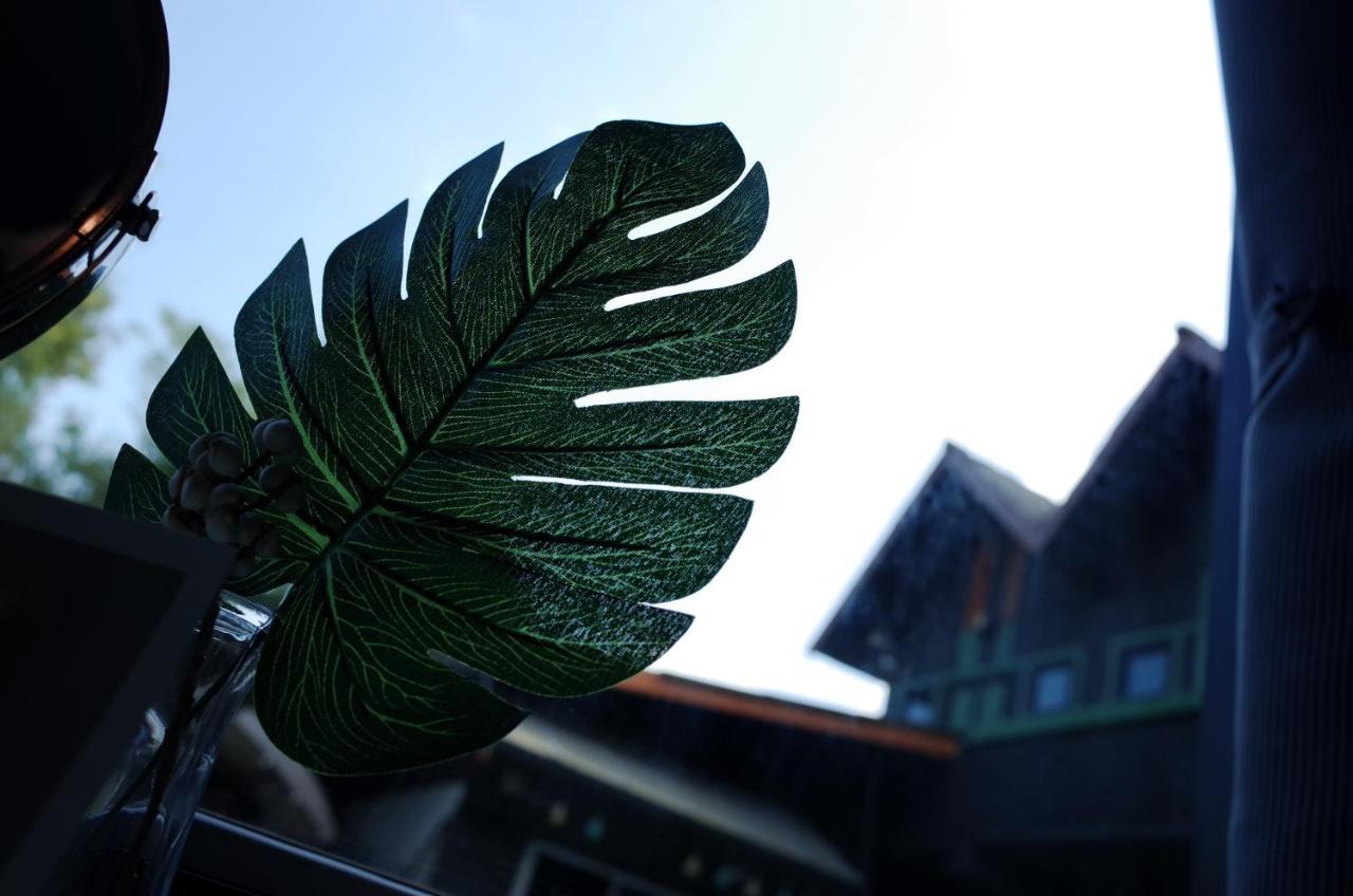 Chiangmai Moli Inn (Adults Only) 치앙마이 외부 사진